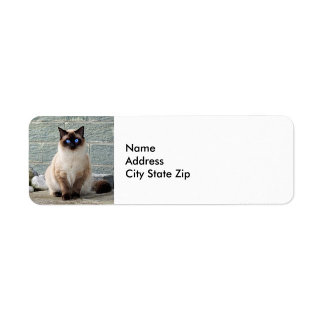 Elegant Siamese Cat Photo Label Returadress Etikett (Framsidan)