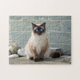 Elegant Siamese Cat Photo Pussel
