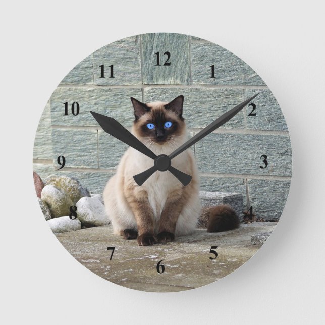 Elegant Siamese Cat Photo Rund Klocka (Framsida)