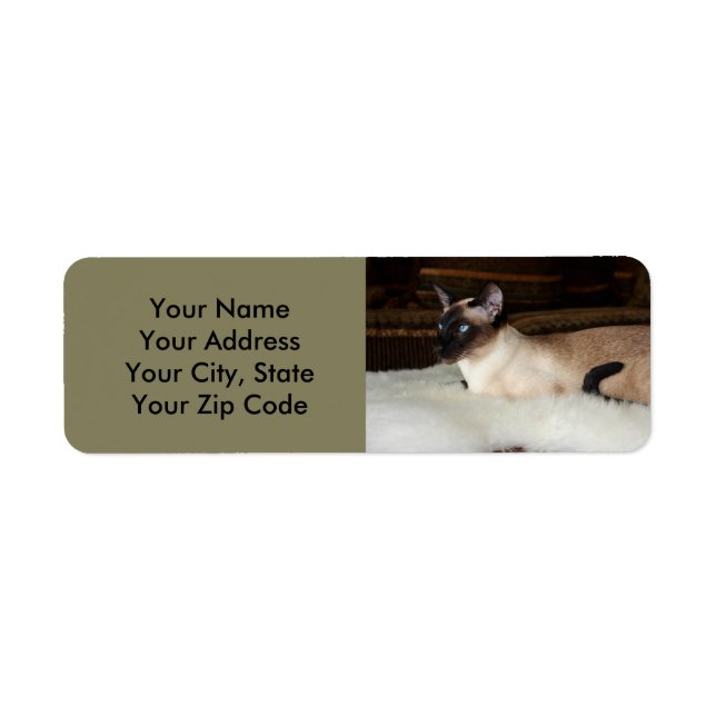 Elegant Siamese Cat Returadress Etikett (Framsidan)