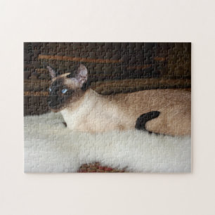 Elegant Siamese katt Pussel