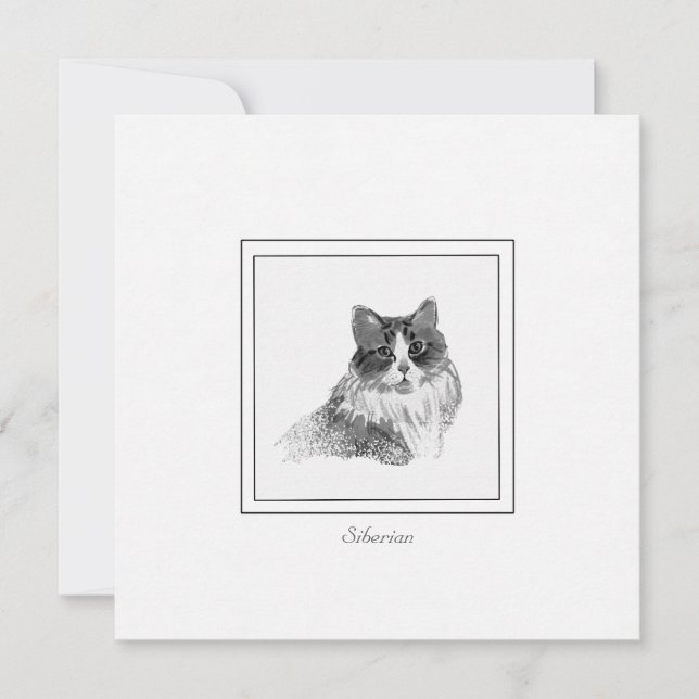 Elegant Sibiriska kattskisser i träkol och krita Anteckningskort (Framsida)