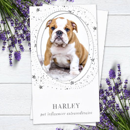 Elegant Silver Stars Anpassningsbar Foto QR Social Visitkort