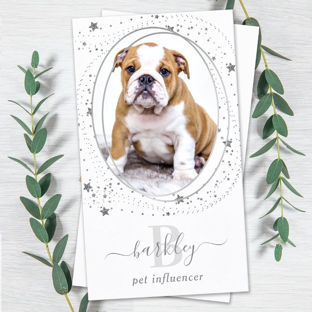 Elegant Silver Stars Photo Social Media Monogram Visitkort (Skapare uppladdad)