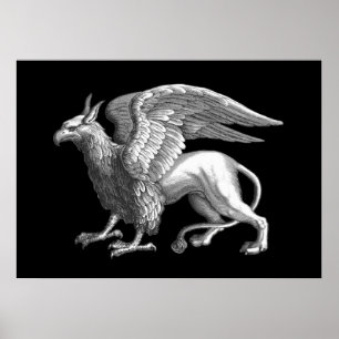 Elegant Silvergrå / Grå Griffin Legendarisk varels Poster