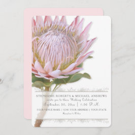 Elegant Simple Modern Blommigt Rosa Protea Flower Inbjudningar