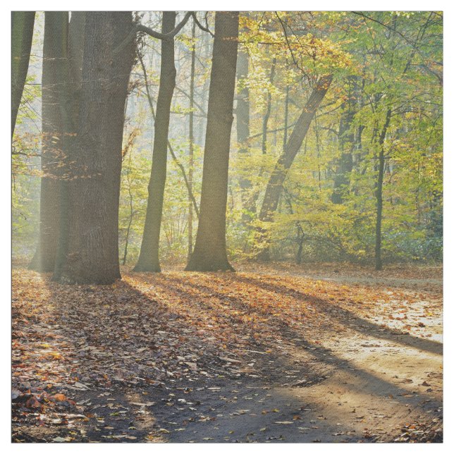 Elegant skogplats tyg (Provkarta)