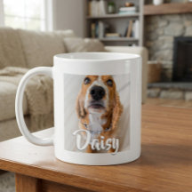 Elegant skriptnamn Valp Hund Katt Husdjur Foto