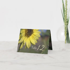 Elegant, smart sommarsolrosa gult tack. tack kort