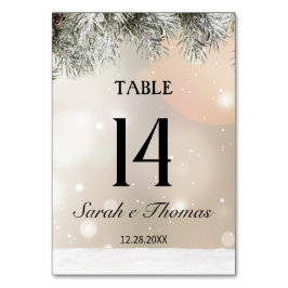 Elegant snöig julbord nummer bordsnummer