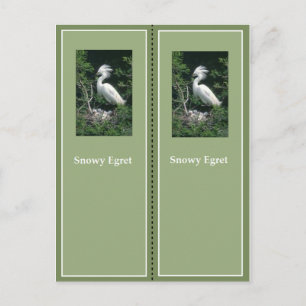 Elegant Snowy Egret Bookmark Vykort