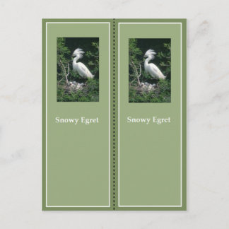 Elegant Snowy Egret Bookmark Vykort
