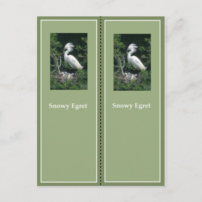 Elegant Snowy Egret Bookmark Vykort (Framsida)