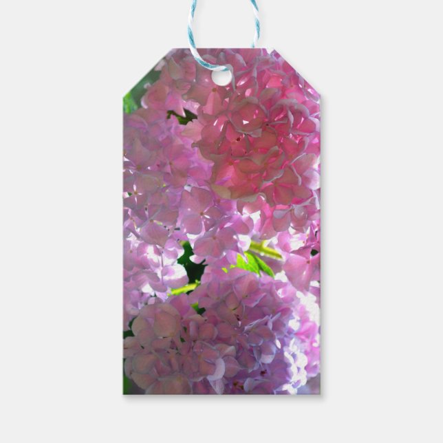 Elegant soft rosa blommigt rosa hydrangeas ro presentetikett (Framsidan)