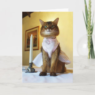 Elegant Somaliska kattinbjudan, Party eller Hälsni Kort