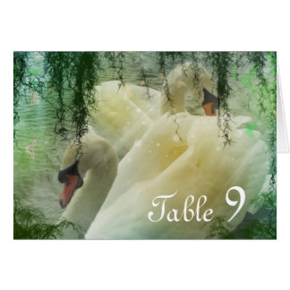 elegant sommaren sjö, västra svan bröllop OBS kort