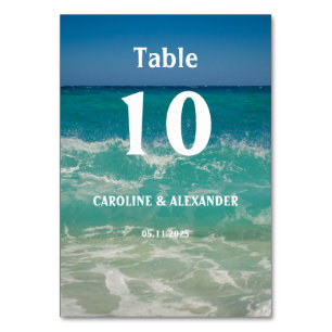 Elegant Sommarhavet Vatten Tropical Beach Hawaii Bordsnummer