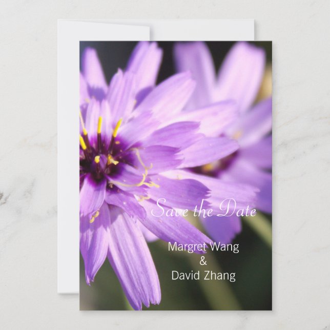 Elegant, söt lila daisy blomma spara datum spara datumet (Framsida)