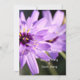 Elegant, söt lila daisy blomma spara datum spara datumet