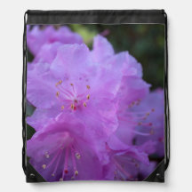 elegant, söt vår lila azalea-blommor.