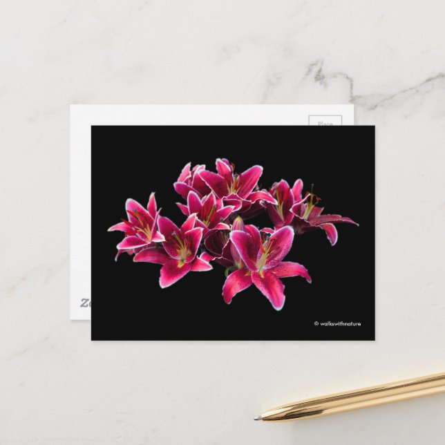 Elegant Stargazer Oriental Lilies Rosa Flowers Vykort (Fram/Back In Situ)