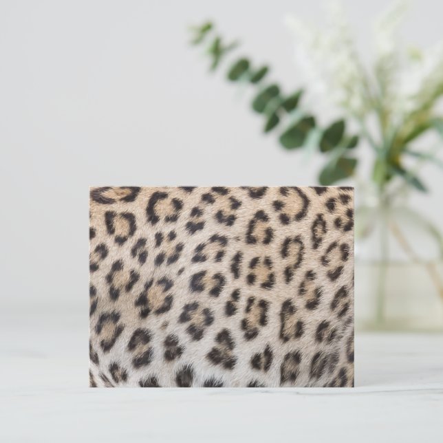 Elegant stilfull leopard gepard päls tryck mönster vykort (Stående Fram)