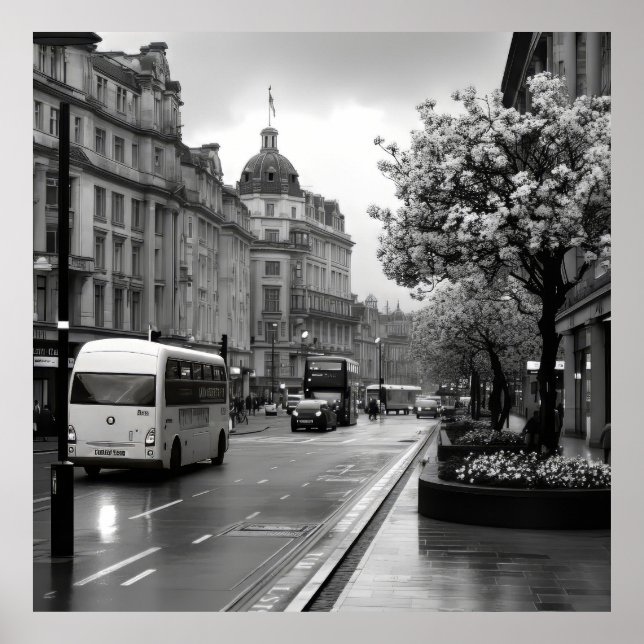 Elegant Street View Poster (Framsidan)