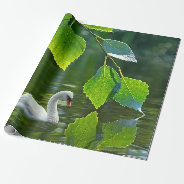 Elegant Summer Svan Presentpapper (Utrullad)