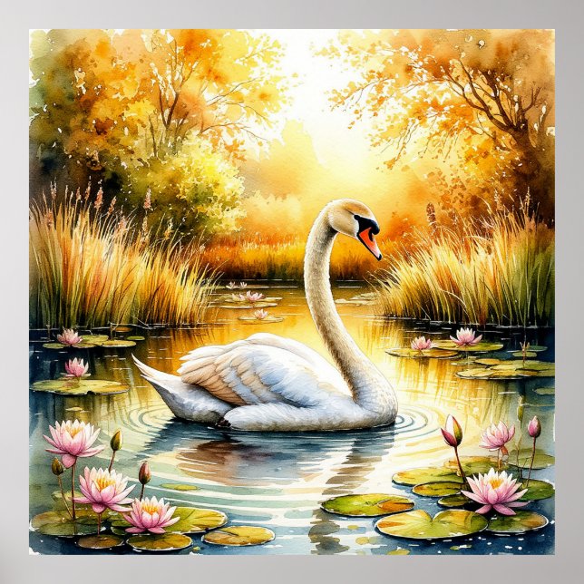Elegant svan gliderar i en lugn damm poster (Framsidan)
