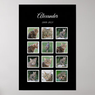 Elegant svart husdjur-plakat med 12 fotoramar poster