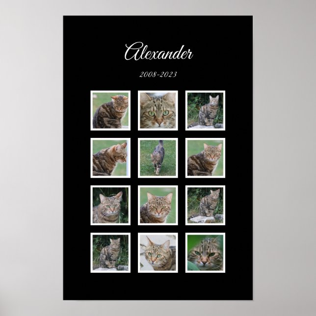 Elegant svart husdjur-plakat med 12 fotoramar poster (Framsidan)