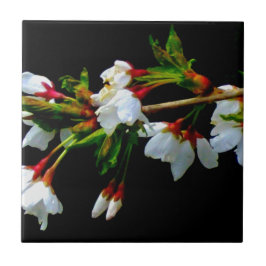 Elegant Svartvit blommar vit Blommar Kakelplatta