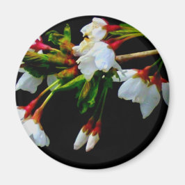 Elegant Svartvit blommar vit Blommar Magnet