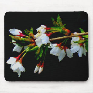 Elegant Svartvit blommar vit Blommar Musmatta