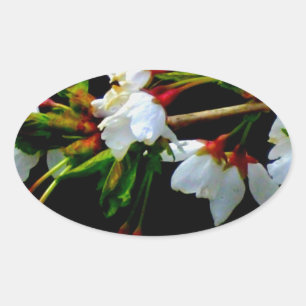 Elegant Svartvit blommar vit Blommar Ovalt Klistermärke