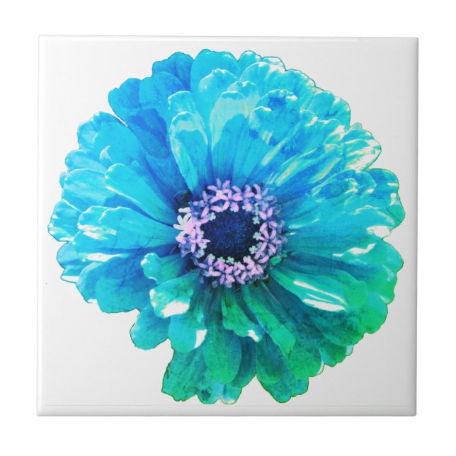 Elegant Teal Blue blommigt daisy Kakelplatta (Framsidan)