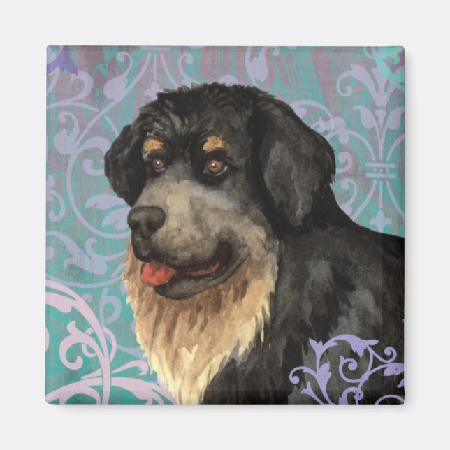 Elegant Tibetan Mastiff Magnet (Framsidan)