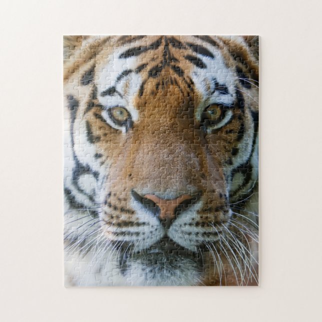 Elegant Tiger Porträtt Pussel (Vertikal)