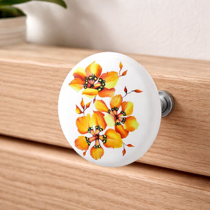 Elegant Tricolor Flowers Harlequin Plants Knopp