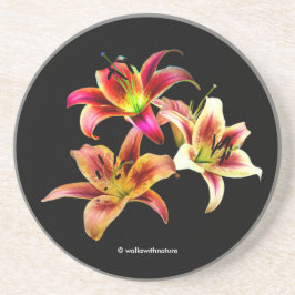 Elegant trio av gula rosa dagliljor blommor underlägg