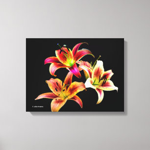 Elegant Trio of Gult Rosa Daylilies Blommigt Canvastryck
