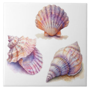 Elegant Tropical Beach Seashells Pearls Nautical Kakelplatta