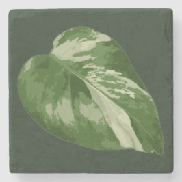 Elegant Tropical Leaf – Rare Plant Art Stenunderlägg