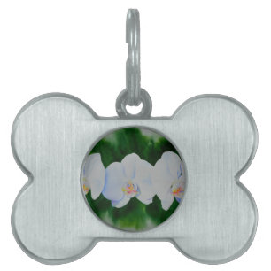 Elegant tropiska vita vattenfärgade orkidémålning namnbricka husdjur