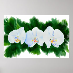 Elegant tropiska vita vattenfärgade orkidémålning poster