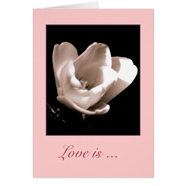 Elegant Tulip "Kärlek är ...." Tomt gratulationsko Hälsningskort (Framsidan)