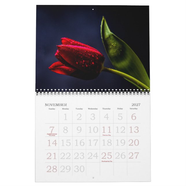 Elegant Tulpan och Ros Blommor Fotografi Kalender (Nov 2027)