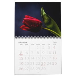 Elegant Tulpan och Ros Blommor Fotografi Kalender