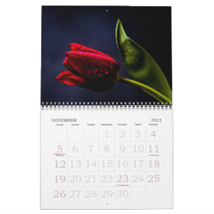 Elegant Tulpan och Ros Blommor Fotografi Kalender