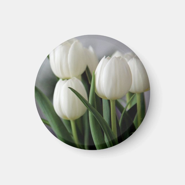 Elegant Tulpan och Ros Blommor Fotografi Magnet (Framsidan)